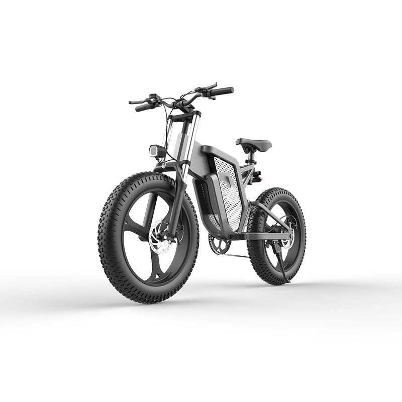 20" 48V Off-Road Electric Bicycle - National Standard Pedal Assist E-Bike