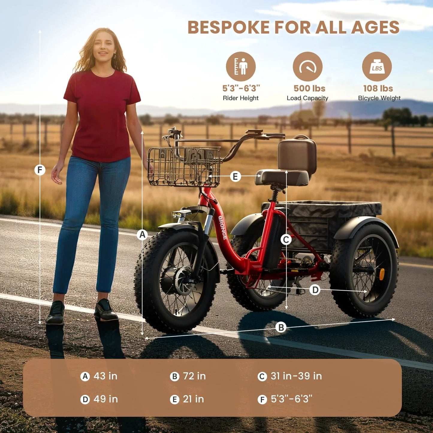 QRONGE 960W Peak Electric Bike For Adults 36V Battery Trike