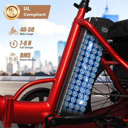 QRONGE 960W Peak Electric Bike For Adults 36V Battery Trike