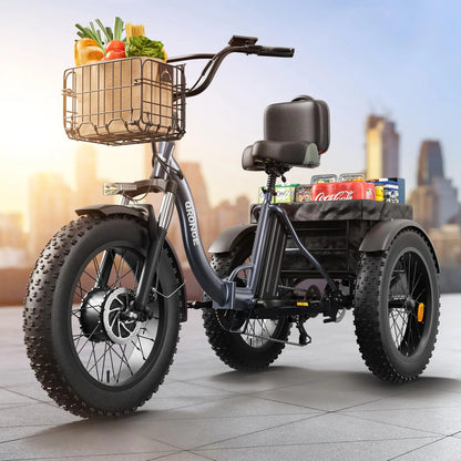 QRONGE 960W Peak Electric Bike For Adults 36V Battery Trike