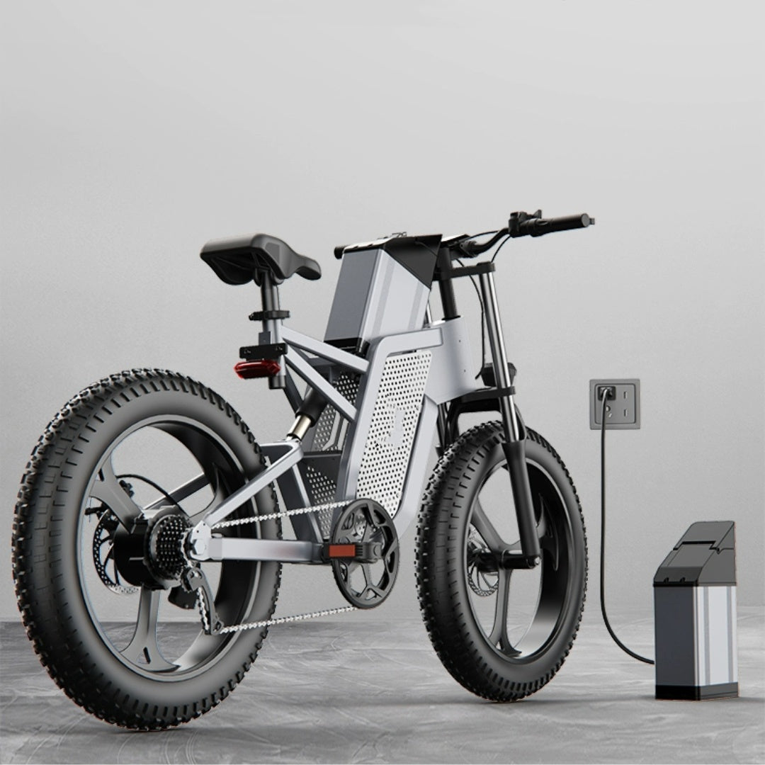 20" 48V Off-Road Electric Bicycle - National Standard Pedal Assist E-Bike