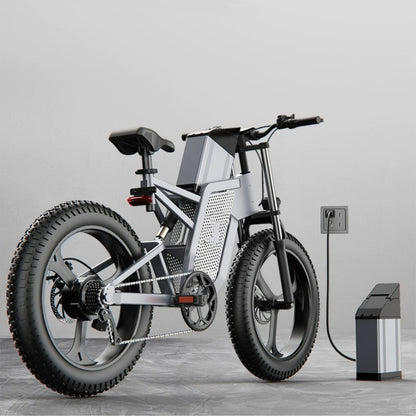 20" 48V Off-Road Electric Bicycle - National Standard Pedal Assist E-Bike